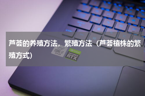 芦荟的养殖方法，繁殖方法（芦荟植株的繁殖方式）