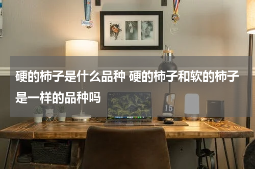 硬的柿子是什么品种 硬的柿子和软的柿子是一样的品种吗