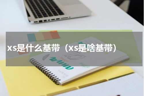 xs是什么基带（xs是啥基带）