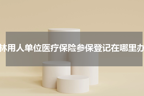 桂林用人单位医疗保险参保登记在哪里办理