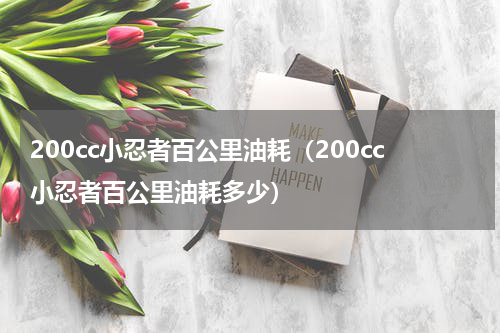 200cc小忍者百公里油耗（200cc小忍者百公里油耗多少）