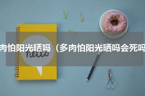多肉怕阳光晒吗（多肉怕阳光晒吗会死吗）