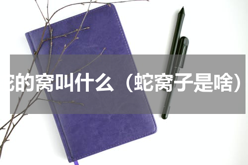 蛇的窝叫什么（蛇窝子是啥）
