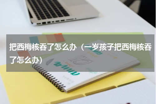把西梅核吞了怎么办（一岁孩子把西梅核吞了怎么办）