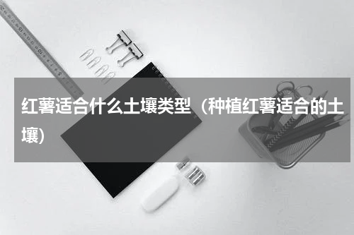 红薯适合什么土壤类型（种植红薯适合的土壤）