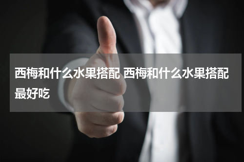 西梅和什么水果搭配 西梅和什么水果搭配最好吃
