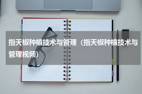 指天椒种植技术与管理（指天椒种植技术与管理视频）