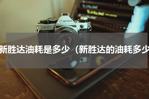 全新胜达油耗是多少（新胜达的油耗多少）