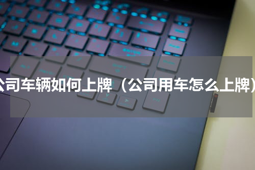 公司车辆如何上牌（公司用车怎么上牌）