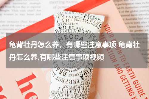 龟背牡丹怎么养，有哪些注意事项 龟背牡丹怎么养,有哪些注意事项视频