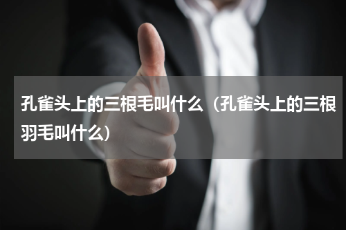孔雀头上的三根毛叫什么（孔雀头上的三根羽毛叫什么）