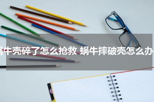 蜗牛壳碎了怎么抢救 蜗牛摔破壳怎么办