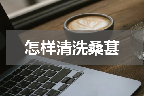 怎样清洗桑葚