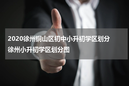 2020徐州铜山区初中小升初学区划分 徐州小升初学区划分图