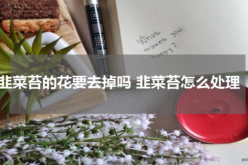 韭菜苔的花要去掉吗 韭菜苔怎么处理