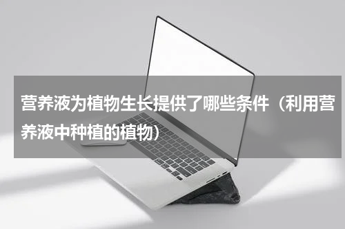 营养液为植物生长提供了哪些条件（利用营养液中种植的植物）
