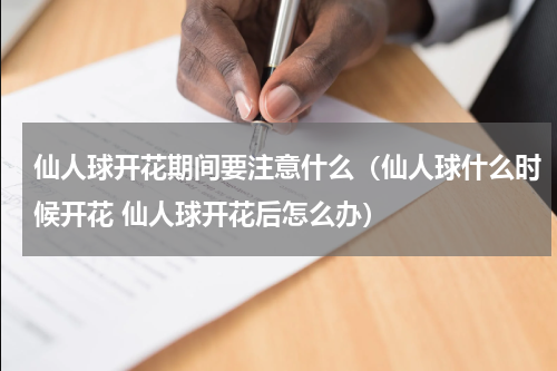 仙人球开花期间要注意什么（仙人球什么时候开花 仙人球开花后怎么办）