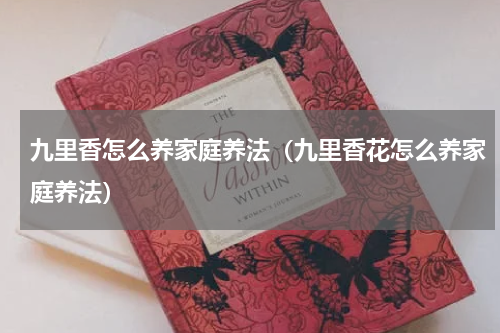 九里香怎么养家庭养法（九里香花怎么养家庭养法）