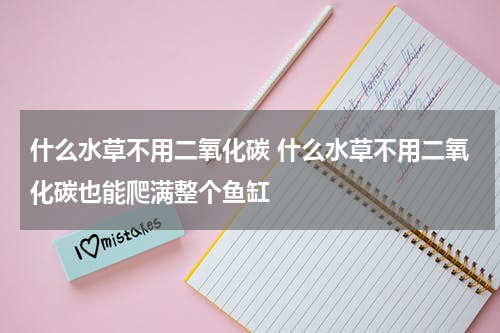 什么水草不用二氧化碳 什么水草不用二氧化碳也能爬满整个鱼缸