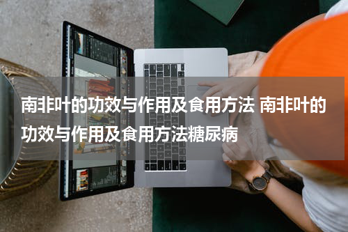 南非叶的功效与作用及食用方法 南非叶的功效与作用及食用方法糖尿病