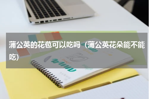 蒲公英的花苞可以吃吗（蒲公英花朵能不能吃）