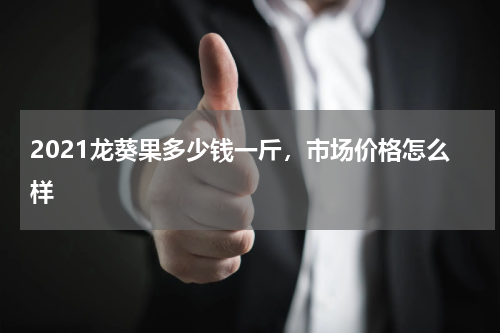 2021龙葵果多少钱一斤，市场价格怎么样