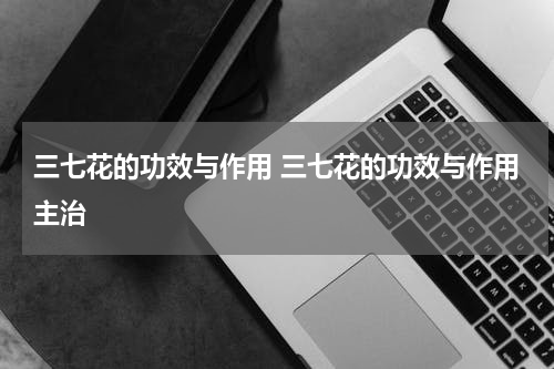 三七花的功效与作用 三七花的功效与作用主治