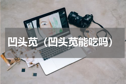 凹头苋（凹头苋能吃吗）