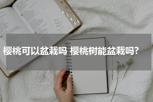 樱桃可以盆栽吗 樱桃树能盆栽吗?