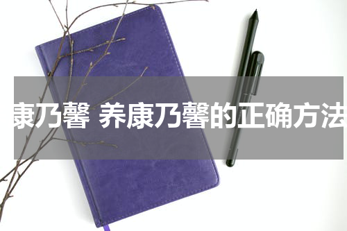 养康乃馨 养康乃馨的正确方法