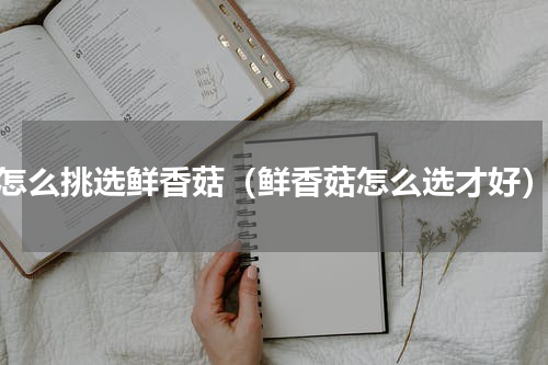 怎么挑选鲜香菇（鲜香菇怎么选才好）