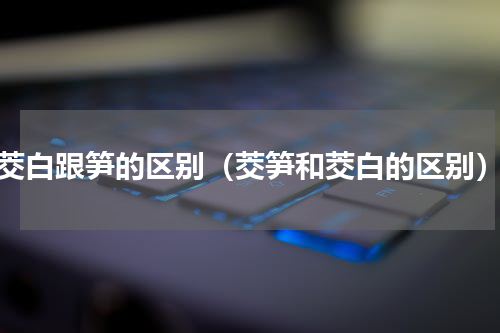 茭白跟笋的区别（茭笋和茭白的区别）