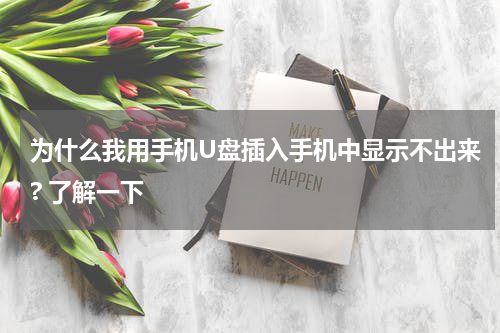 为什么我用手机U盘插入手机中显示不出来? 了解一下