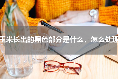 玉米长出的黑色部分是什么，怎么处理