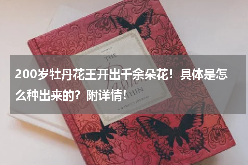 200岁牡丹花王开出千余朵花！具体是怎么种出来的？附详情！