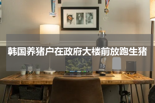 韩国养猪户在政府大楼前放跑生猪