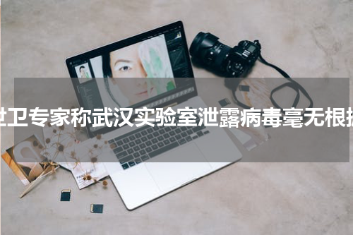世卫专家称武汉实验室泄露病毒毫无根据
