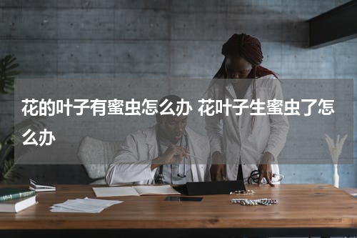 花的叶子有蜜虫怎么办 花叶子生蜜虫了怎么办