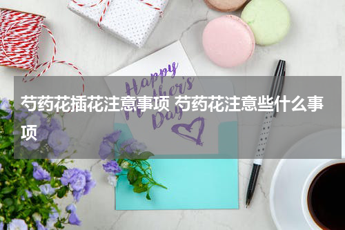 芍药花插花注意事项 芍药花注意些什么事项