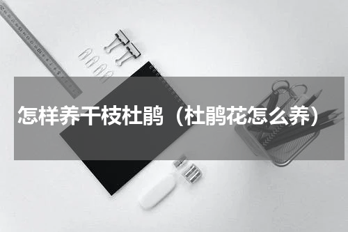 怎样养干枝杜鹃（杜鹃花怎么养）