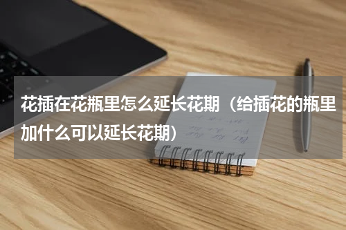 花插在花瓶里怎么延长花期（给插花的瓶里加什么可以延长花期）