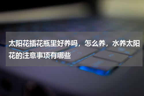 太阳花插花瓶里好养吗，怎么养，水养太阳花的注意事项有哪些