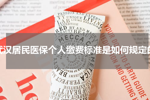 武汉居民医保个人缴费标准是如何规定的