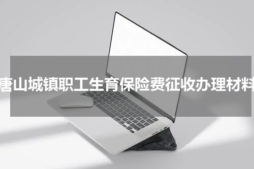 唐山城镇职工生育保险费征收办理材料
