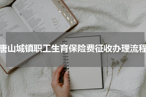 唐山城镇职工生育保险费征收办理流程