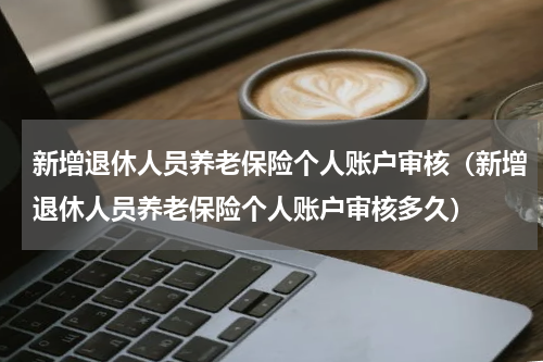 新增退休人员养老保险个人账户审核（新增退休人员养老保险个人账户审核多久）