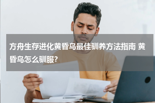 方舟生存进化黄昏鸟最佳驯养方法指南 黄昏鸟怎么驯服？