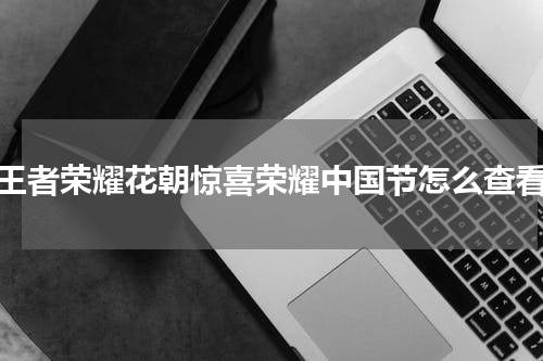 王者荣耀花朝惊喜荣耀中国节怎么查看