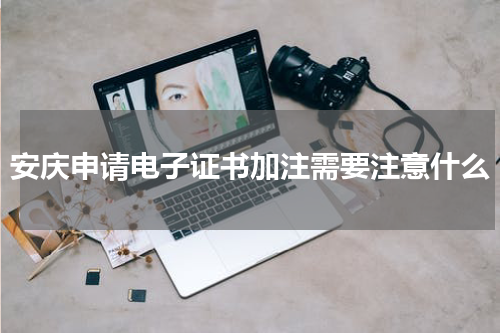 安庆申请电子证书加注需要注意什么