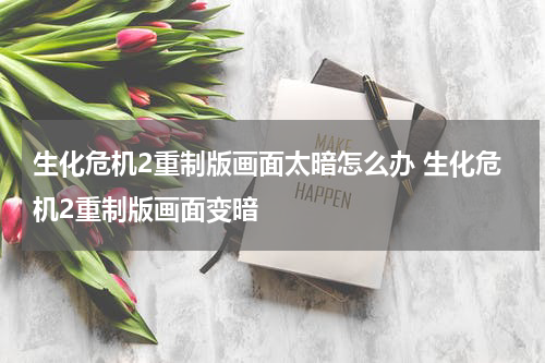 生化危机2重制版画面太暗怎么办 生化危机2重制版画面变暗
